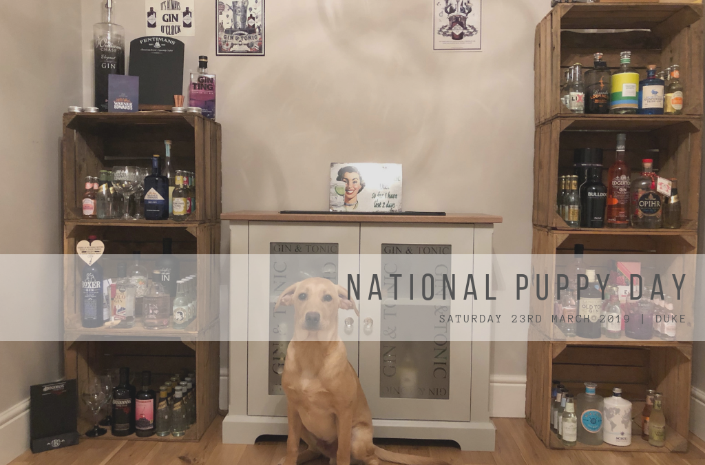 National Puppy Day